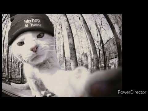 SZDK -- OLD - SchOoL - FUNK