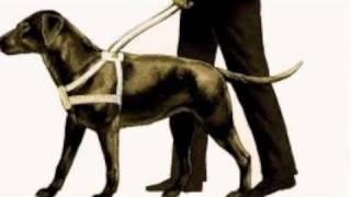 lone justice-featuring maria mckee &quot;you are the light&quot;