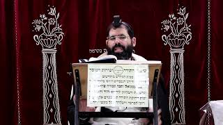 זבחים דף ל"ח ע''ב ¤ הרב נתנאל אברז'ל ¤ בית הכנסת "בית מרדכי" (מוסדות תורת דוד) - התמונה מוצגת ישירות מתוך אתר האינטרנט יוטיוב. זכויות היוצרים בתמונה שייכות ליוצרה. קישור קרדיט למקור התוכן נמצא בתוך דף הסרטון