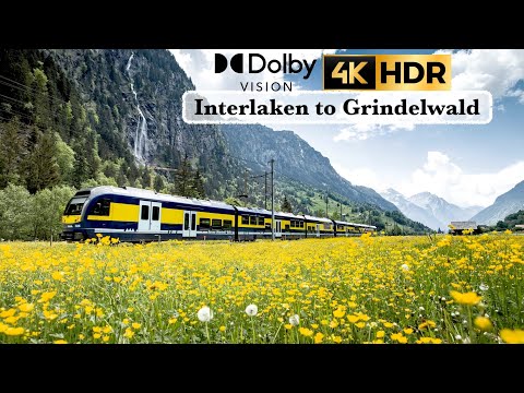 4K Interlaken to Grindelwald Train - Switzerland's Most Beautiful Train Ride | 4K 60p HDR vlog