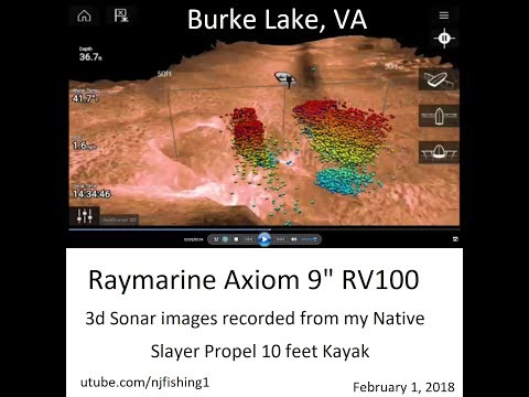 Burke Lake fish 3D sonar images by Raymarine Axiom 9" RV100 3d transducer Burke Lake fish 3D sonar images by Raymarine Axiom 9" RV100 3d transducer