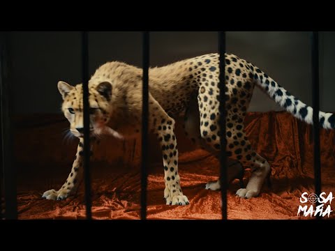 Julianno Sosa and Loyaltty