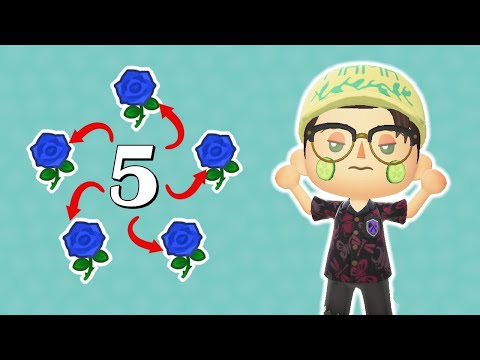 Getting 5 Blue Roses in 5 Different Ways!