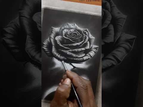 Hyper realistic Drawing Of a Rose #drawing #art #shorts #rose