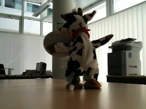 happy birthday Pascal