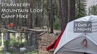 Video review of the Strawberry Mountain Loop Hike with footage of it's features and terrain.