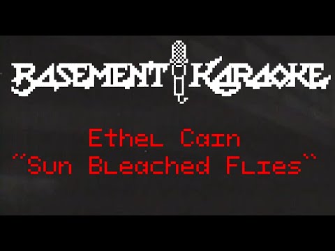 Ethel Cain - SUN BLEACHED FLIES - Basement Karaoke - Instrumental with Lyrics