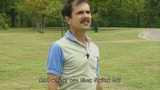 Oblivion NPC Dialogue - Birds