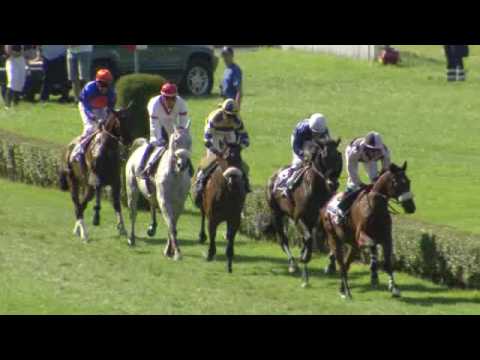 Aarau/11.09.2016/GP der Mercedes Benz Aargau