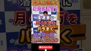 #政治 #中道 #中道改革連合 #税金 voice vox 冥鳴ひまり