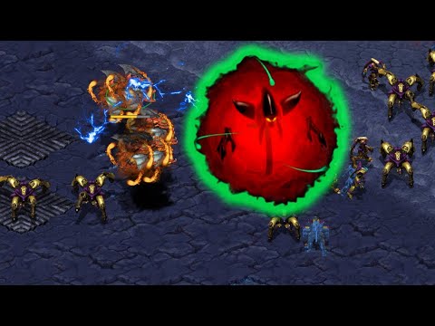 Dark Archons might be Broken.