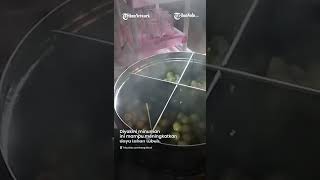 Susu Jahe Merah Depan SMA MTA Surakarta, Minuman Hangat dengan Harga Hemat