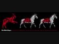 The White Stripes Vancouver 24of27 I fought piranhas
