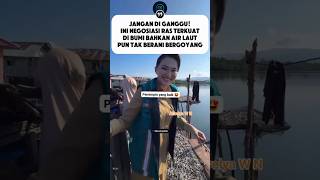 Download lagu 💞𝘼𝙎𝙇𝙄 𝙇𝙐𝘾𝙐 𝙉𝙄𝙃 𝙀𝙈𝘼𝙆-𝙀𝙈𝘼𝙆😂‼️𝙉𝙚𝙜𝙤𝙨𝙞𝙖𝙨𝙞 𝙂𝙪𝙗𝙚𝙧𝙣𝙪𝙧 𝙈𝙖𝙡𝙪𝙠𝙪 𝙐𝙩𝙖𝙧𝙖 𝙎𝙝𝙚𝙧𝙡𝙮 𝙏𝙟𝙤𝙖𝙣𝙙𝙖 𝘿𝙚𝙣𝙜𝙖𝙣 𝙍𝙖𝙨 𝙏𝙚𝙧𝙠𝙪𝙖𝙩 𝘿𝙞 𝘽𝙪𝙢𝙞 mp3