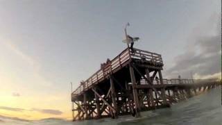 preview picture of video 'Jumping off Mexico Beach Pier'