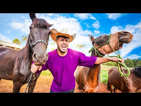 INFELIZMENTE TIVE QUE FAZER ISSO COM MEUS CAVALOS