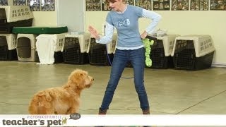Impulse Control (with games, food and toys)