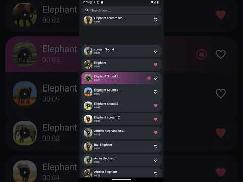 Elephant Sounds Video