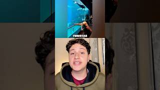 Turistas que foram longe demais😮