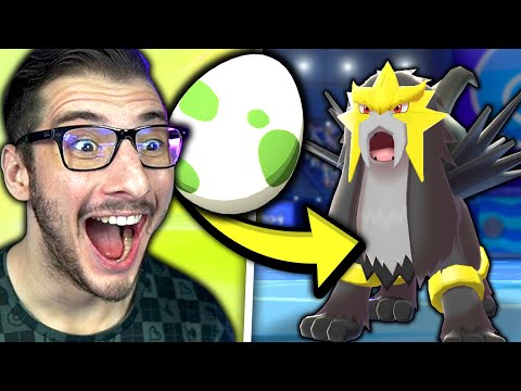 15 Random Eggs To Build a Team In Pokemon Sword & Shield, Then We Battle!