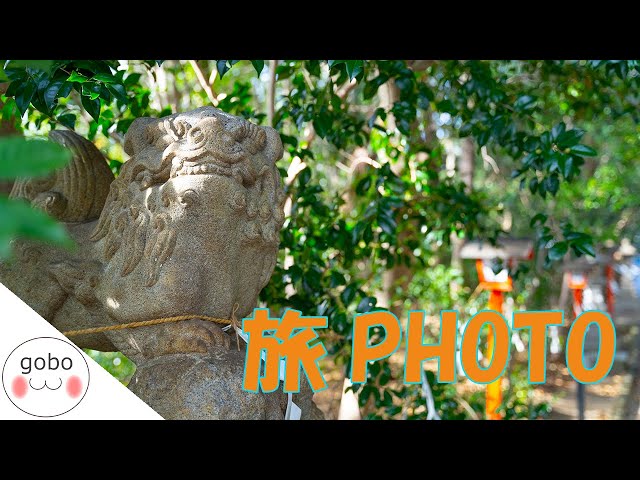 となりのトトロをみて近所の神社へ行った話（越木岩神社） - Goboさん 