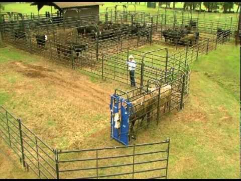 Priefert Small Cattle Working Systems