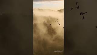 Download lagu Ashitaka and San / Joe Hisaishi (piano cover) mp3