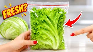 Stop Wasting Lettuce! How to Keep It Fresh, Crisp, and Green for Weeks | Epic Tips