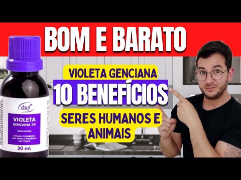 Vídeo: Violeta genciana: para que serve e uso