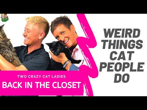 Weird Things Cat People Do | Two Crazy Cat Ladies