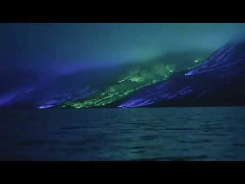 "Savage Beauty" (2020) by Kari Kola