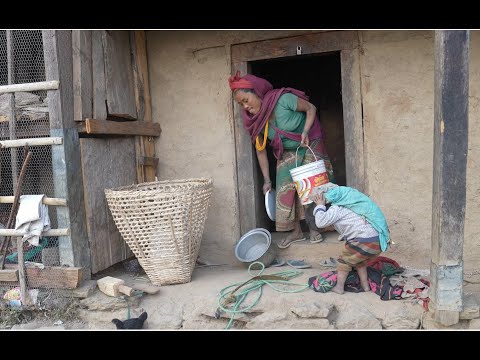 Myvillage official videos EP 955 || Nomad life || Life in village