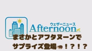 【急遽】まさかのアフタヌーンでサプライズ復帰【ウェザーニュースLIVE切り抜き】【番組復帰】