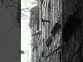 Wind in Lonely Fences - BKFDGNRT Wind in Lonely Fences
