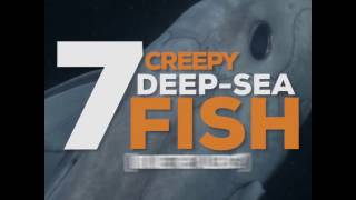 Download lagu 7 Creepy Deep-Sea Fish mp3 Download lagu 7 Creepy Deep-Sea Fish mp3