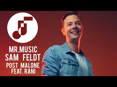 Sam feldt - post malone (feat. Rani) MR.MUSIC