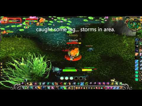 Windwalker Monk pvp duel vs Feral druid