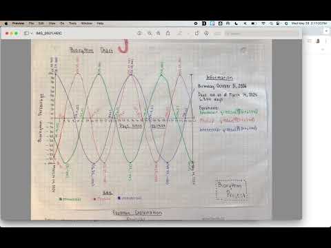 Biorhythm Explanation