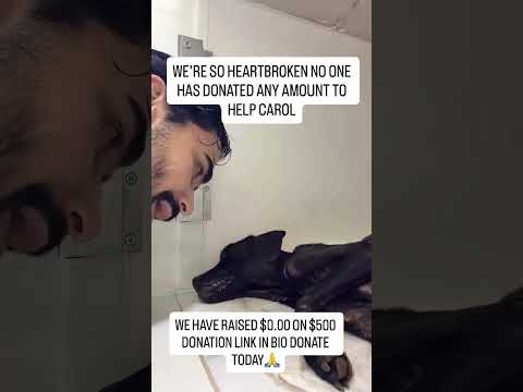 Please 💔 [Donate on the Link in Bio]🙏#usa #canada #uk  #australia #germany #florida #unitedstates