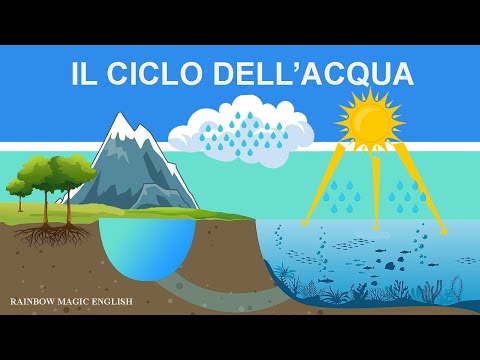 Il ciclo dell'acqua