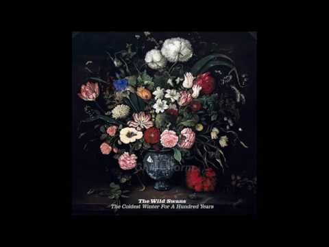 The Wild Swans - The Coldest Winter For A Hundred Years (Full Album)