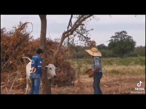 un bien con un mal se paga