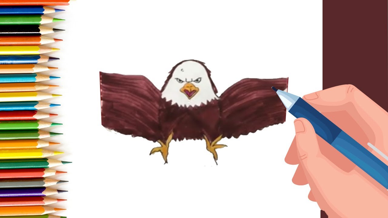 How to Draw easy Eagle step by step for Kids