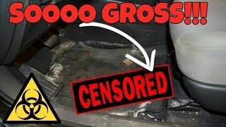 The Salvage Auction Spark is BIOHAZARD! You Won't Believe What I Found