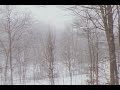 I Want To Sleep Forever Ambient Dreamcore Playlist