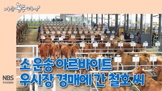 [나는농부다 284회] 소 운송 아르바이트 우시장 경매에 간 철호 씨
