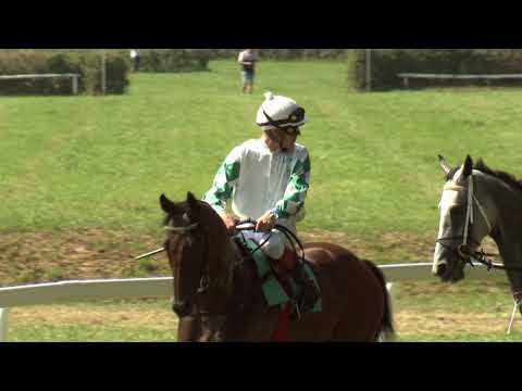 4. dostih - Cena Rabbit Trhový Štěpánov a.s. - dostihy Netolice 15. 8. 2021