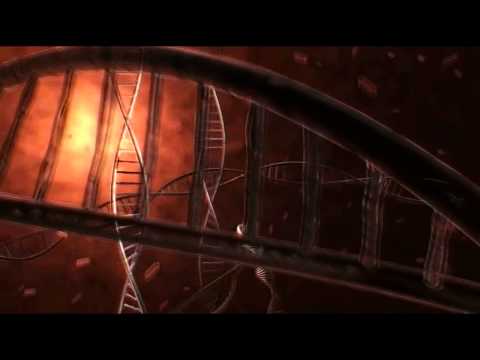 In Flames - Where The Dead Ships Dwell [with lyrics]