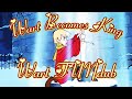 The Sword In The Stone Wart Becomes King Wart FUNdub