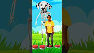 Download lagu I jump on to colour rotating ball to cow, dog, Siren head, monster zombie #shorts #youtubeshorts mp3